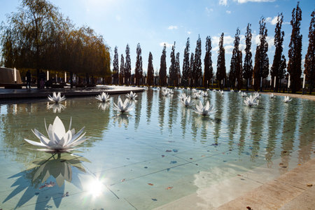 City Park "Krasnodar" or Galitsky Park. Beautiful trees and lawn on terraces of park. Artificial lotuses in a pond. Landscaping. Krasnodar, Russia - November 22, 2021のeditorial素材