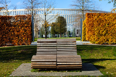 City Park "Krasnodar" or Galitsky Park. Beautiful trees and lawn on terraces of park around football stadium "Krasnodar". Landscaping. Krasnodar, Russia - November 22, 2021のeditorial素材