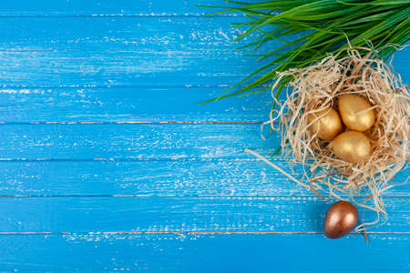 easter greeting card. Easter golden eggs in the nest and green grass. Blue wooden background, place...