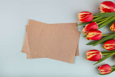 Fresh tulips and empty blank for letter on green background with space for text. Spring greeting card for mothers day.の写真素材