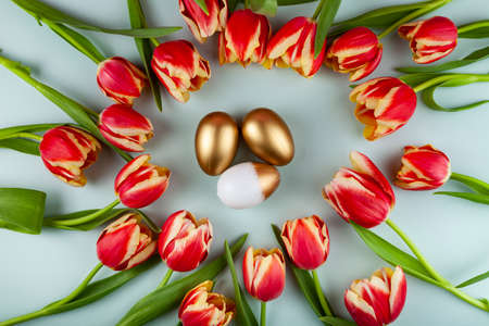 Tulip flowers and easter eggs on green background. Top view with copy space. happy easter greeting cardの写真素材