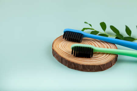 Multicolored toothbrushes and leaves on a green background. Concept of cosmetic products for dental care. Flat lay, top view, copy spaceの写真素材