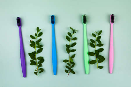 Multicolored toothbrushes and leaves on a green background. Concept of cosmetic products for dental care. Flat lay, top view, copy spaceの写真素材