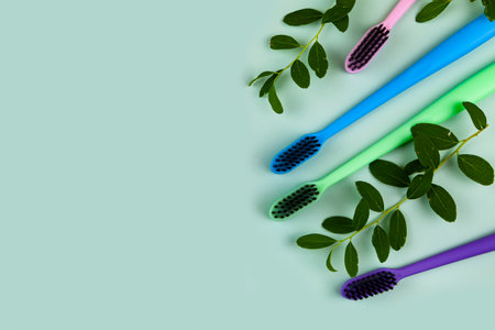 Multicolored toothbrushes and leaves on a green background. Concept of cosmetic products for dental care. Flat lay, top view, copy spaceの写真素材