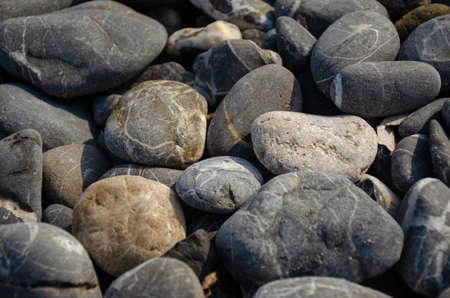 A lot of abstract smooth colored sea pebbles. Close-up