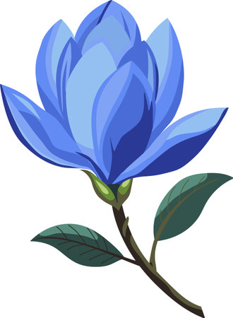 Single flower of blue blooming magnolia on a white background. The basis for an invitation card or invitation. Symbol of tendernessのイラスト素材