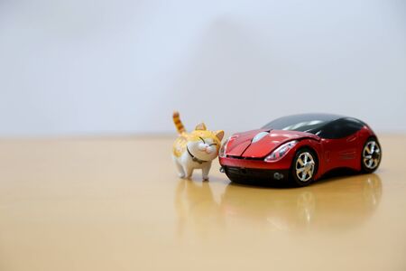 Small cat model and a car toy.