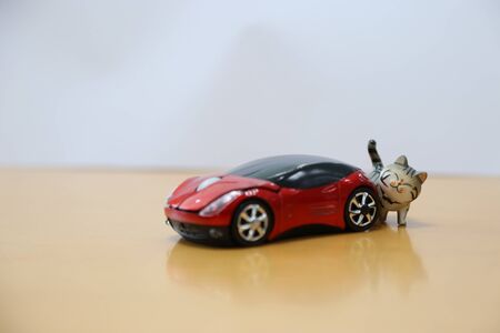 Small cat model and a car toy.の写真素材