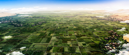 Aerial view of agricultural fields and meadows. 3D Rendering
