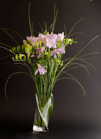 freesia flowers in vaseの写真素材
