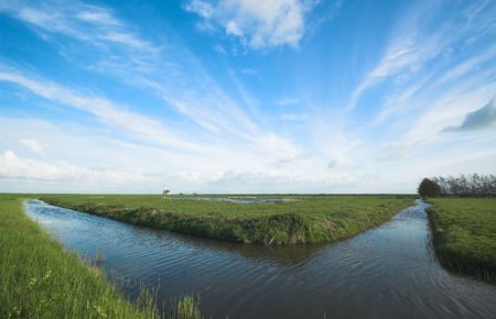 summer landscape in the netherlandsの写真素材