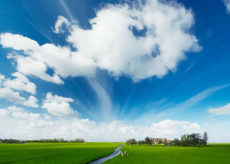 A Summer landscape in Hollandの写真素材
