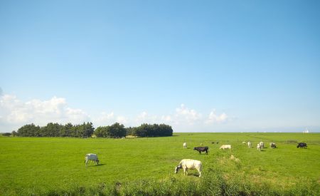 farmland in summerの写真素材