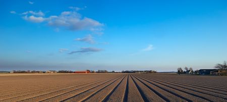 agriculture in the netherlandsの写真素材