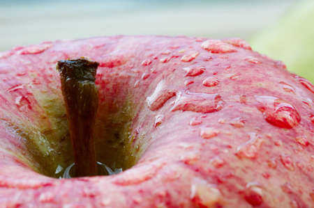 Macro photo of a fresh apple の写真素材