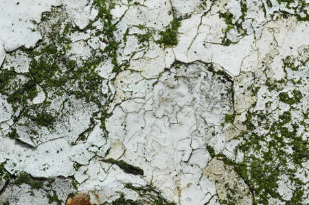 abstract grunge flaky paint stone textureの写真素材