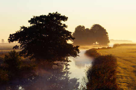 beautiful autumn landscape early in the morningの写真素材