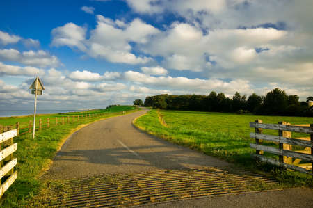 beautiful country road in the netherlands early in the morningの写真素材
