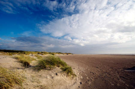 sand dunes and ocean の写真素材