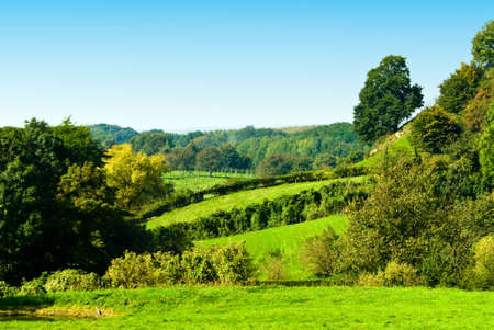 beautiful green farmland  landscape sceneの写真素材