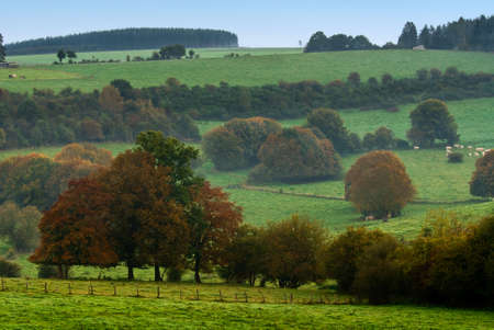 beautiful autumn country landscape の写真素材