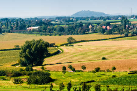 beautiful farmland landscape in autumnの写真素材