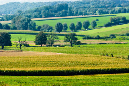 beautiful farmland landscape in autumnの写真素材