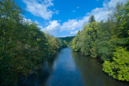beautiful river and green forest の写真素材