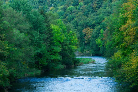 beautiful river and green forest の写真素材