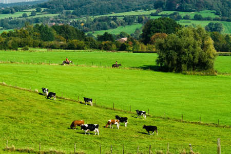 beautiful farmland landscape
