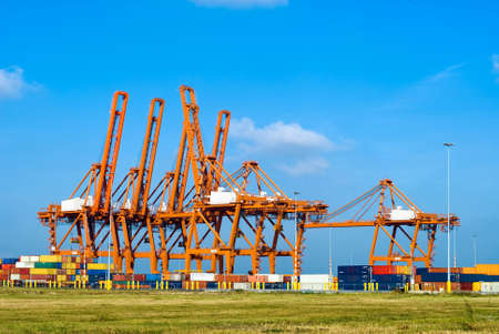 huge red cranes and containersの写真素材