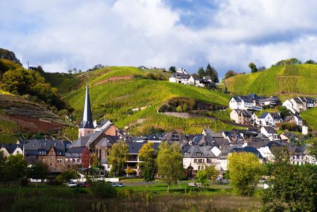 small village, vineyards and forest along the mosel river in germany