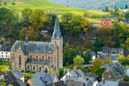 small village and vineyards along the mosel river in germanyの写真素材