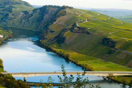 bridge and  vineyards along the mosel river in germanyの写真素材