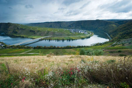 small village and vineyards along the mosel river in germanyの写真素材