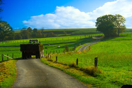 tractor with hay in a beautiful farmland landscapeの写真素材