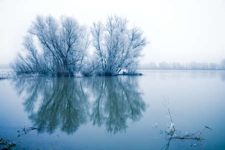 winter landscape scene withe frozen trees in a flooded river の写真素材