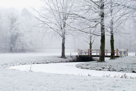 beautiful cold and white winter landscapeの写真素材