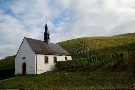 small church and vineyards along the mosel river in germanyの写真素材