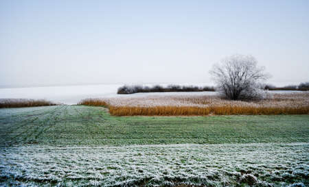 beautiful winter landscape in the netherlandsの写真素材