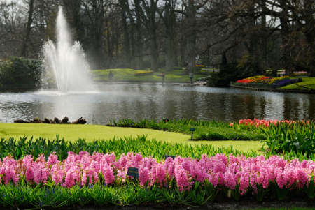 beautiful garden of colorful flowers in spring (keukenhof, The Netherlands)の写真素材