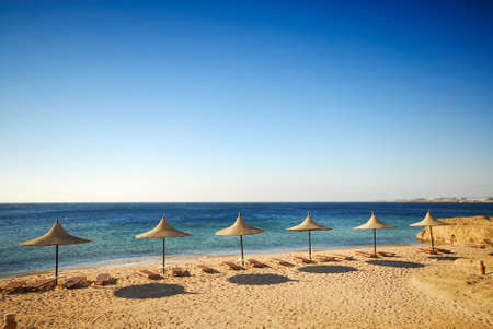 topical beach and turquoise waterの写真素材