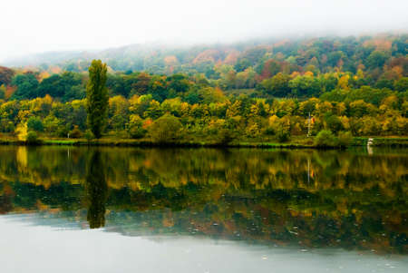 autumn colors at the mosel river in germany の写真素材