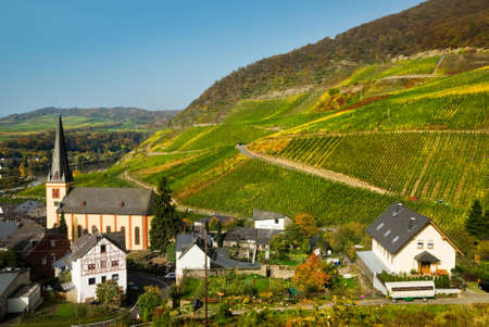 beautiful village and vineyards along the mosel river in germanyの写真素材