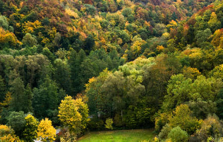 colorful autumn forest along the mosel  in germanyの写真素材