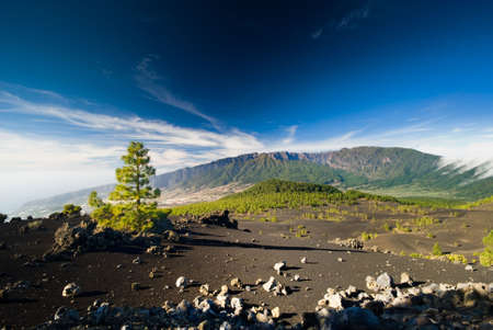 beautiful volcano landscape in La Palma Canary Islands (el pilar)の写真素材