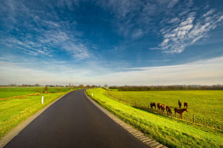 country road in the netherlands の写真素材