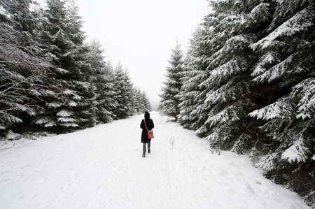 woman walking through a forest in winter の写真素材