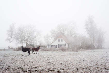 Farm in winter, Drenthe, the Netherlandsの写真素材