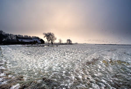 winter landscape in Friesland, The Netherlandsの写真素材